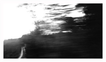 fleeting LANDSCAPE | c-Print | various sizes | 2020