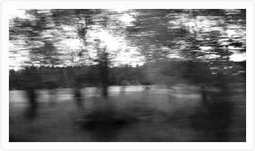 fleeting LANDSCAPE | c-Print | various sizes | 2020