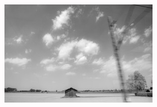 fleeting LANDSCAPE | 42 x 60 cm | 2022