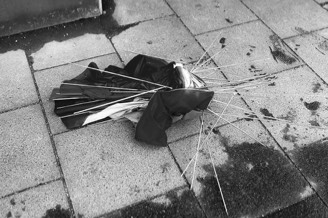 broken Umbrella | Fotografie  | 42 x 59.4 cm | 21 x 30 cm | 2022