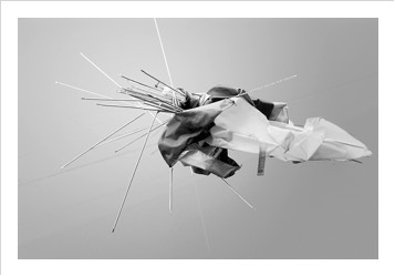 broken Umbrella | Fotografie  | 42 x 59.4 cm | 21 x 30 cm | 2022