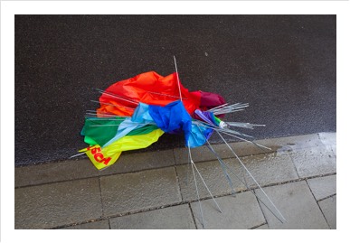 broken Umbrella | Fotografie  | 42 x 59.4 cm | 21 x 30 cm | 2022
